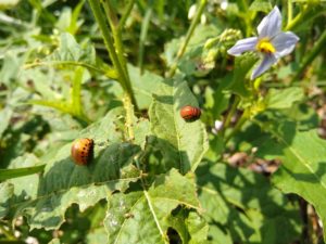 IMG_20190711_112253263